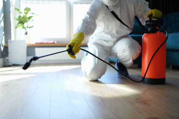 Reliable Sewage Cleanup contractor in Crestline, CA by Trauma Clean Pros